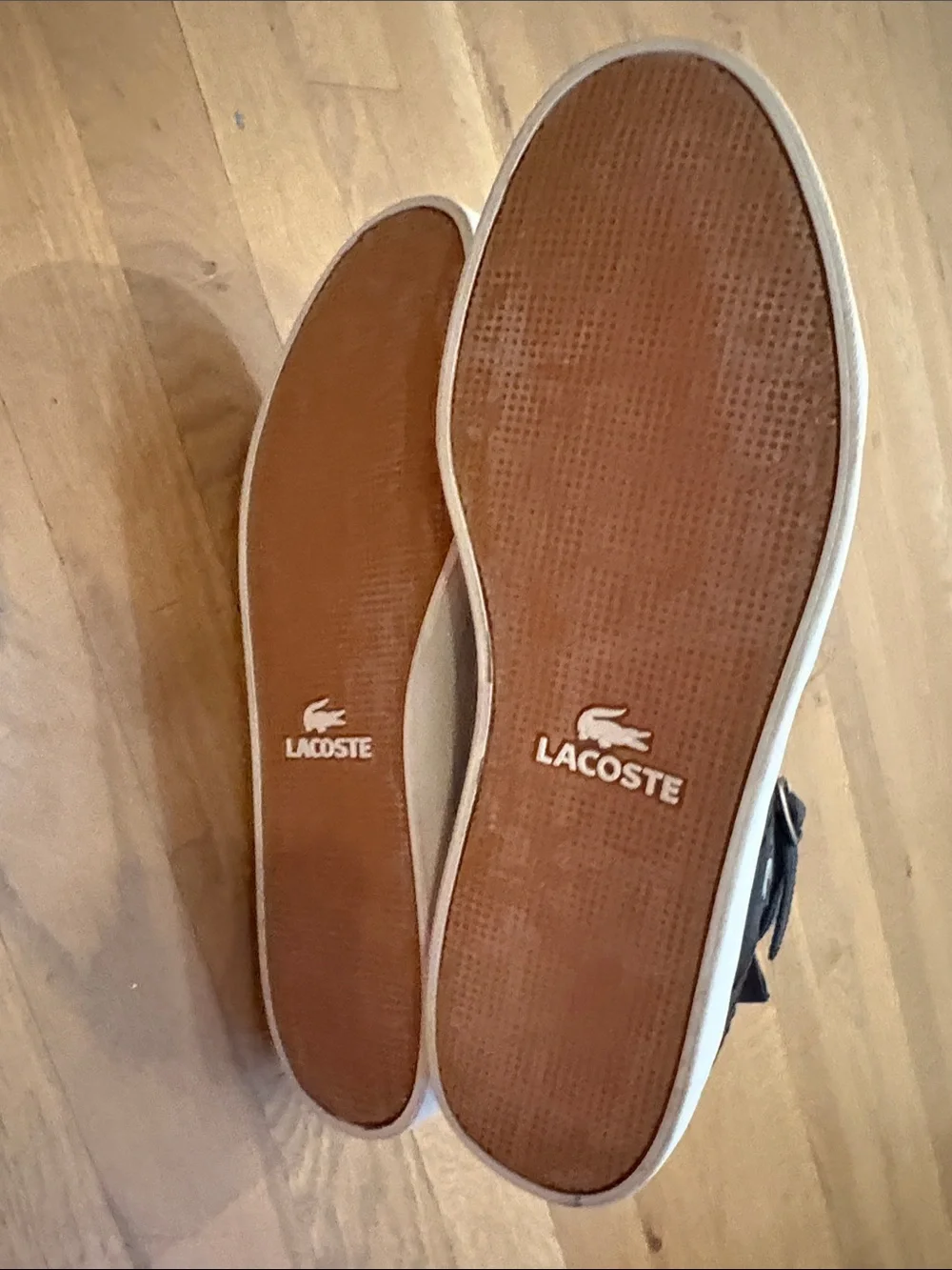 Lacoste Black High-Top Sneakers with White Accent
